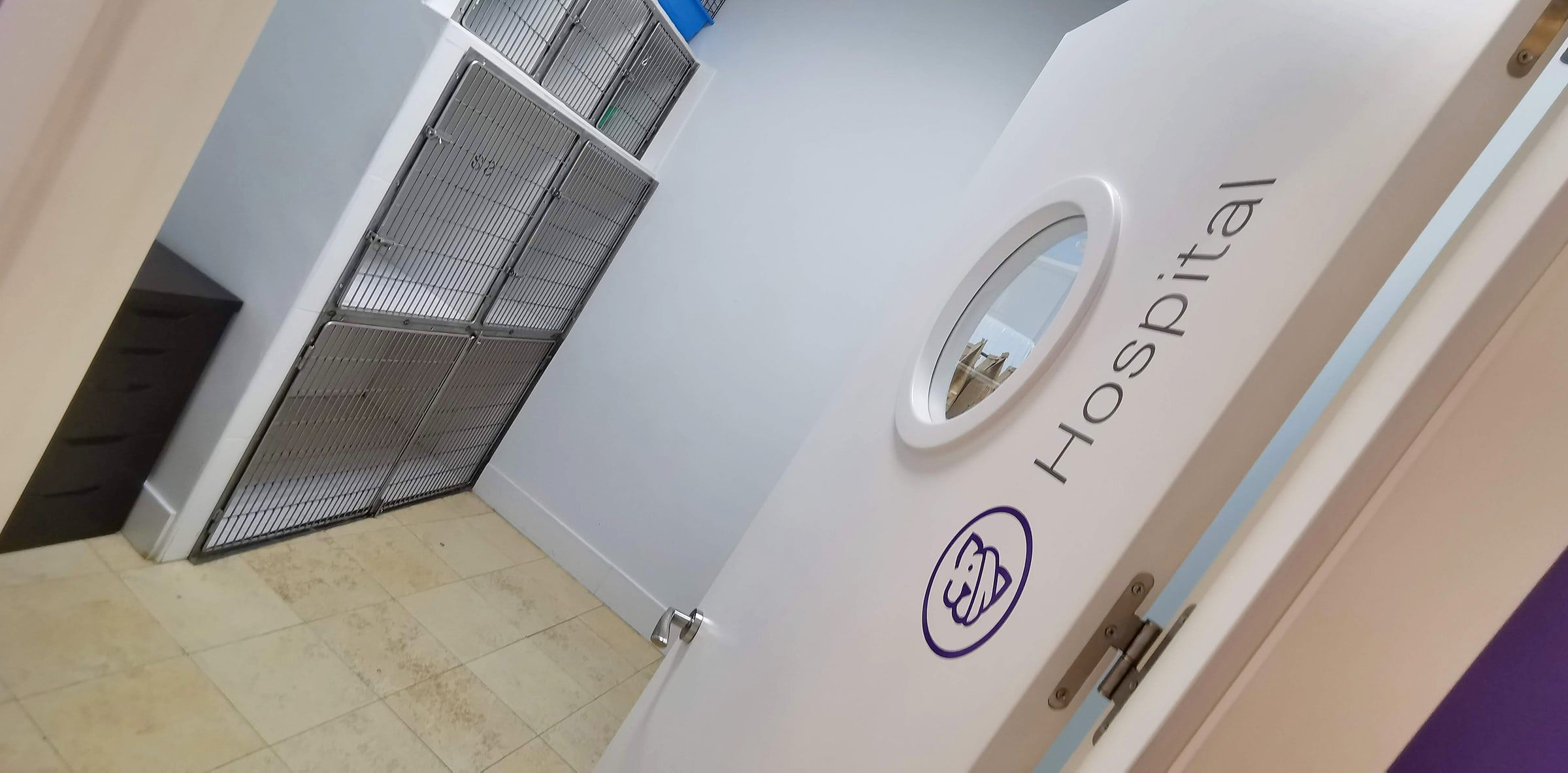 La puerta de la sala de hospitalización, con su ojo de buey, y las jaulas dentro