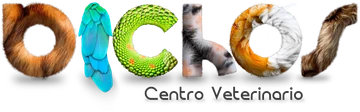 Centro Veterinario Bichos